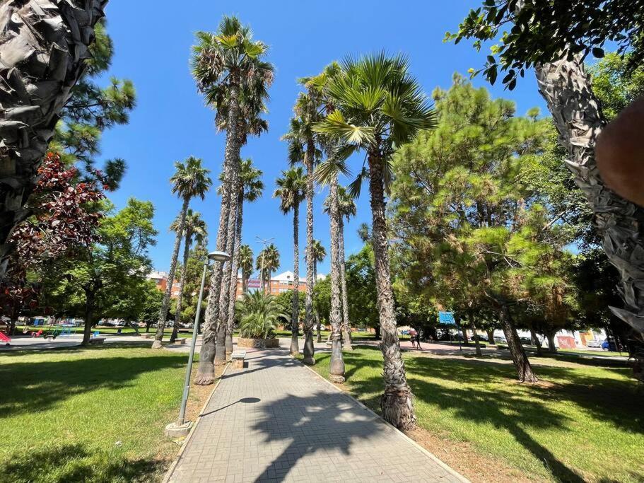 Sol Y Playa Costa Blanca Apartment Torrevieja Exterior foto